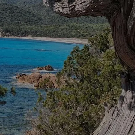 Grand F2 Clim Wifi Lave Linge Vue Résidence Piscine à Pied * Serra di Ferro