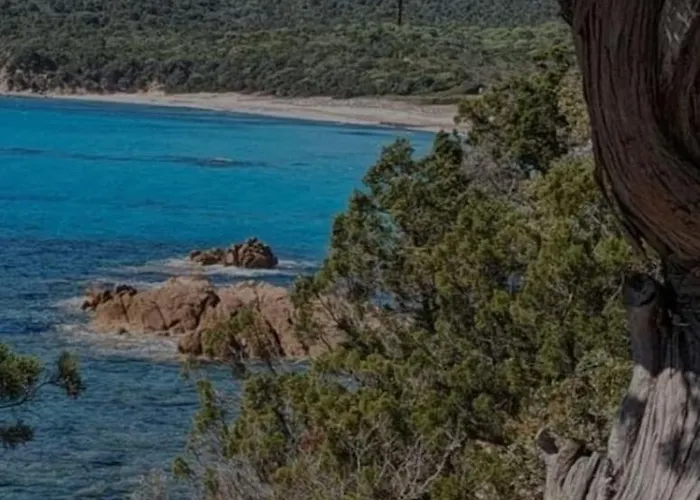 Grand F2 Clim Wifi Lave Linge Vue Piscine A Pied * Serra-di-Ferro (Corsica)